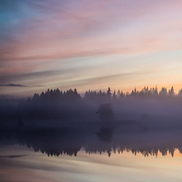 Airbnb gives freedom to roam