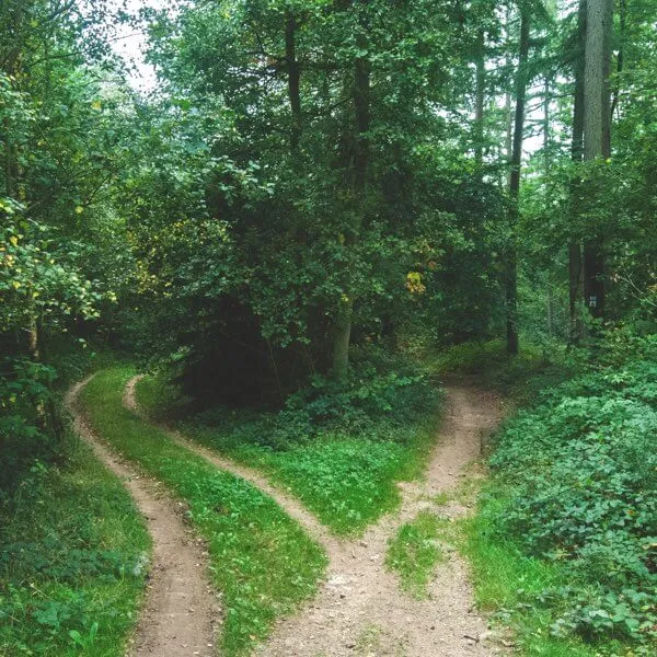 WordPress vs. Drupal