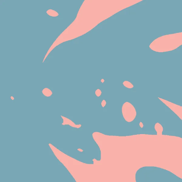 Congratulations to Snowflake on Your IPO from Sköna